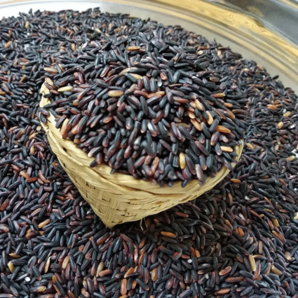 Chakhao Black Rice